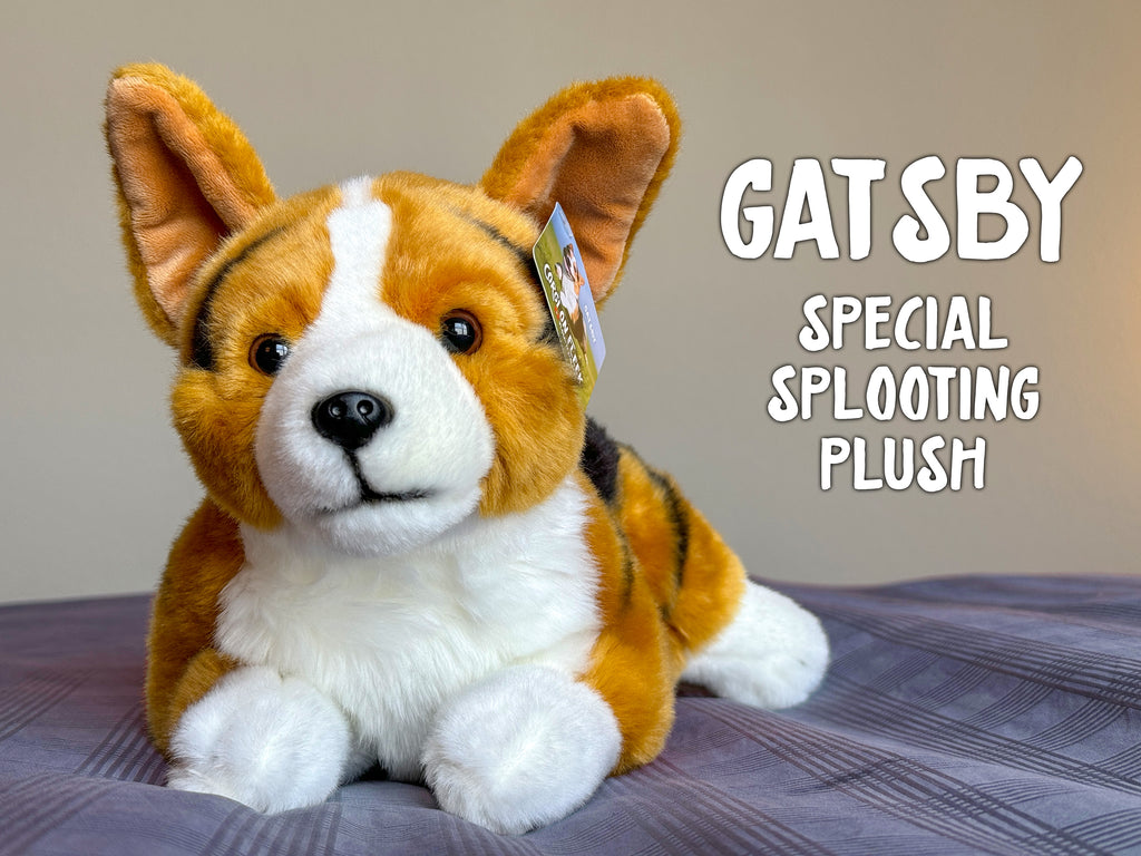 Special Splooting Gatsby Corgi Plush – Corgi On Fleek