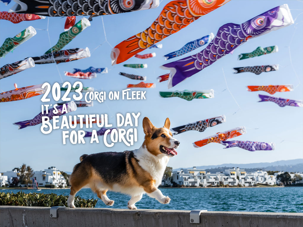 Collectible] Corgi On Fleek 2023 Calendar - It's A Beautiful Day for