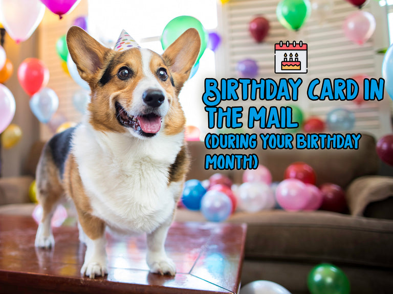 Ryen & Gatsby's Corgi On Fleek 