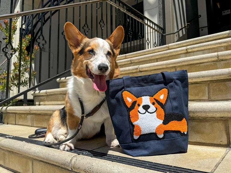 Miniature welsh fashion corgi