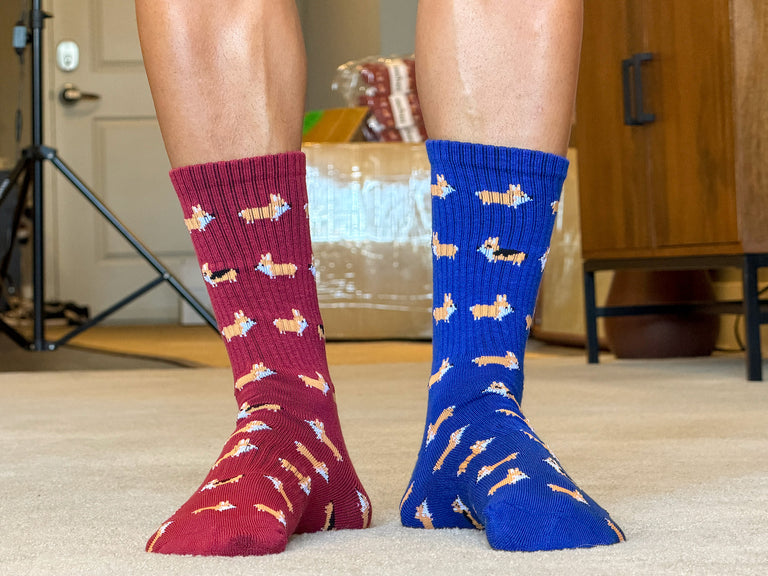 Crew Socks: Corgis Galore!