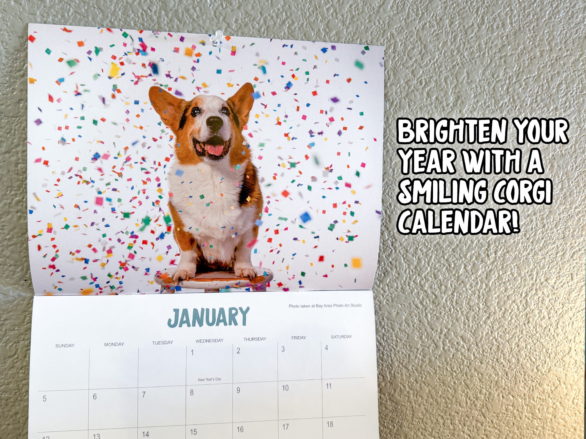 *New* Corgi On Fleek 2025 Calendar - Bright Side of Life