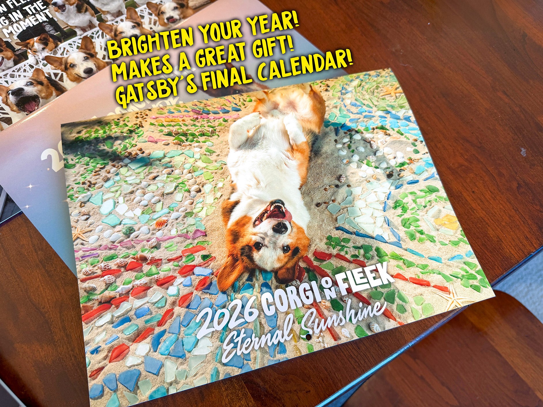 *New* Corgi On Fleek 2026 Calendar - Eternal Sunshine