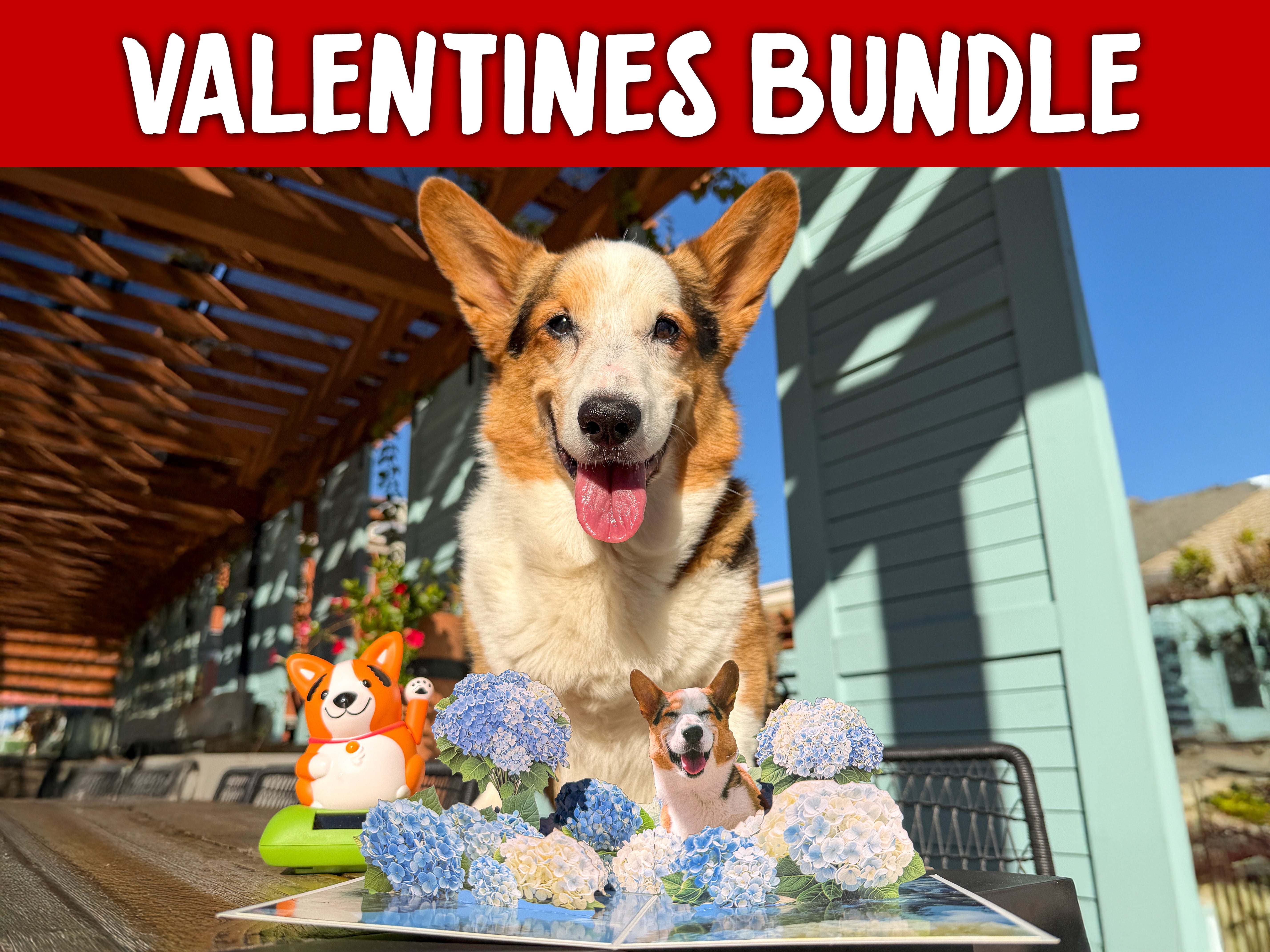 Valentines Sunshine Bundle