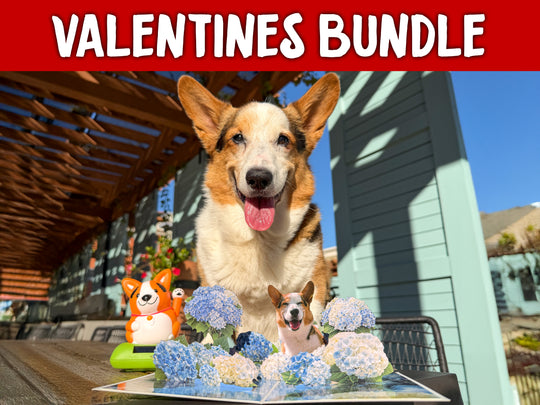 Valentines Sunshine Bundle