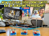 Ray of Sunshine + Card Stand Bundle-
