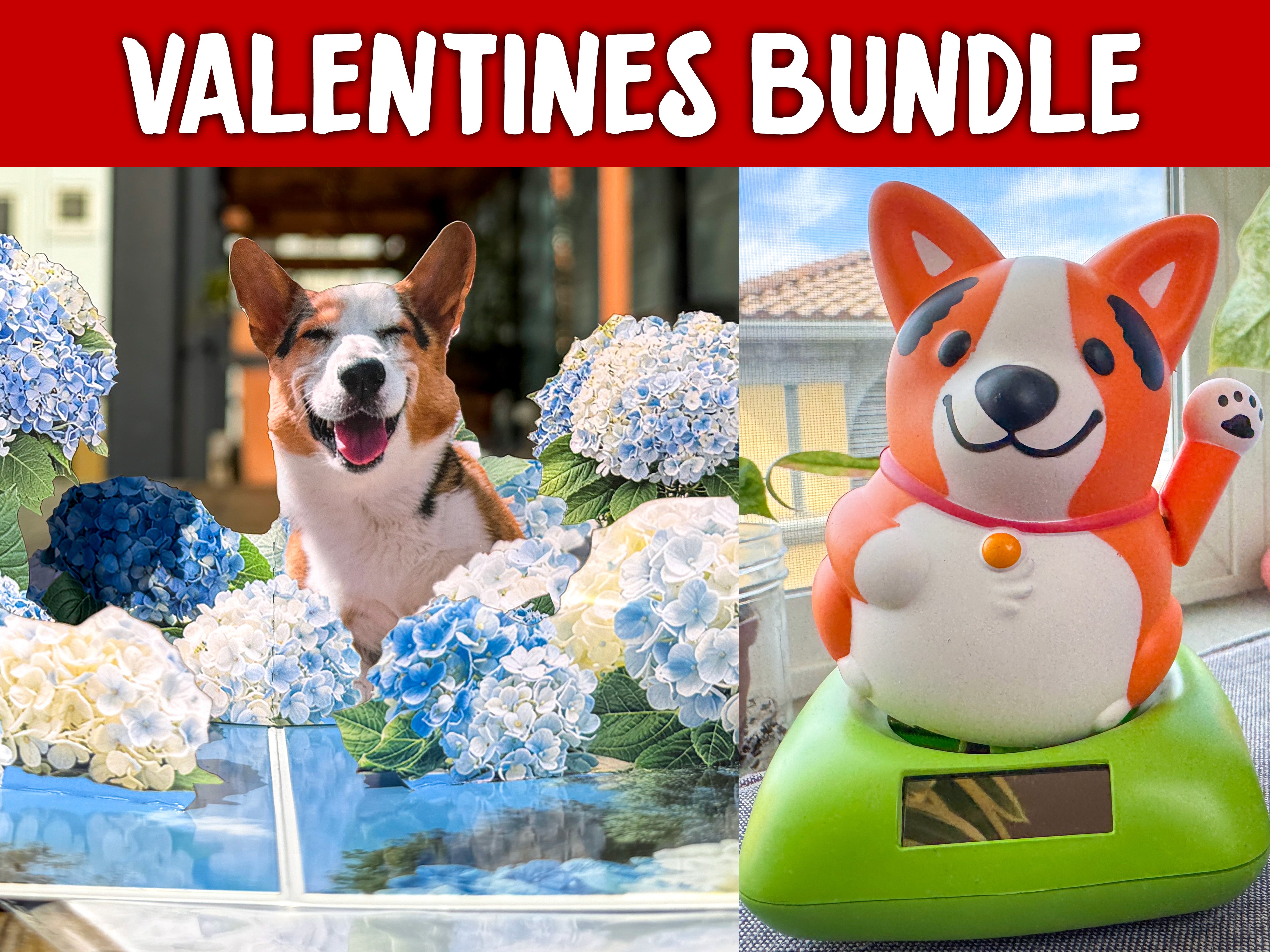 Valentines Sunshine Bundle