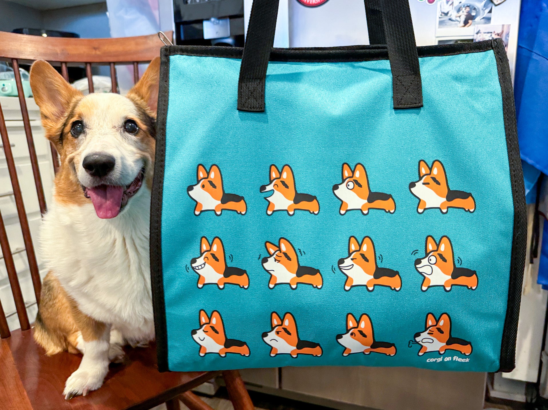 CORG-Emotions Large Insulated Cooler Bag - Main Image