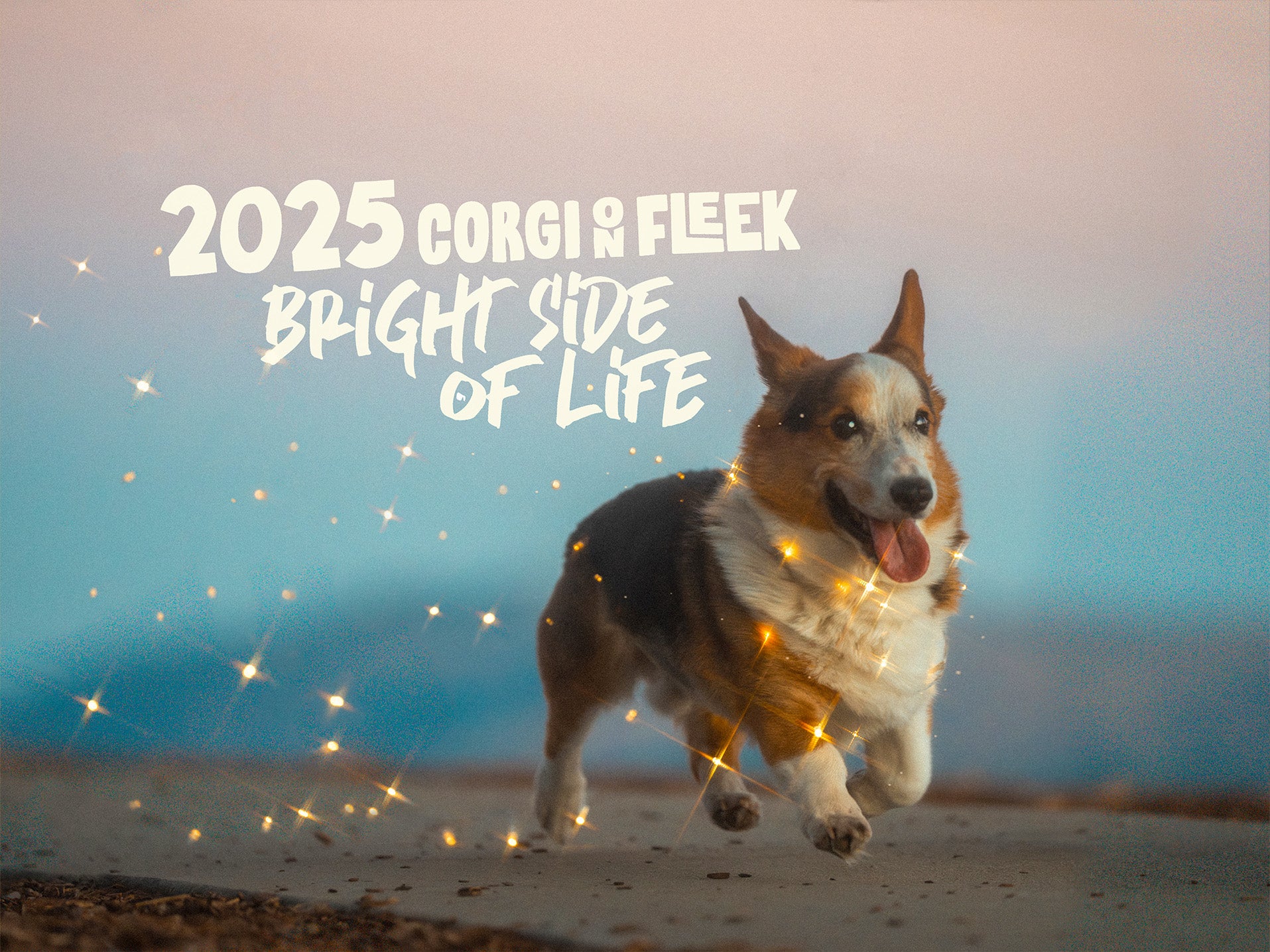 *New* Corgi On Fleek 2025 Calendar - Bright Side of Life