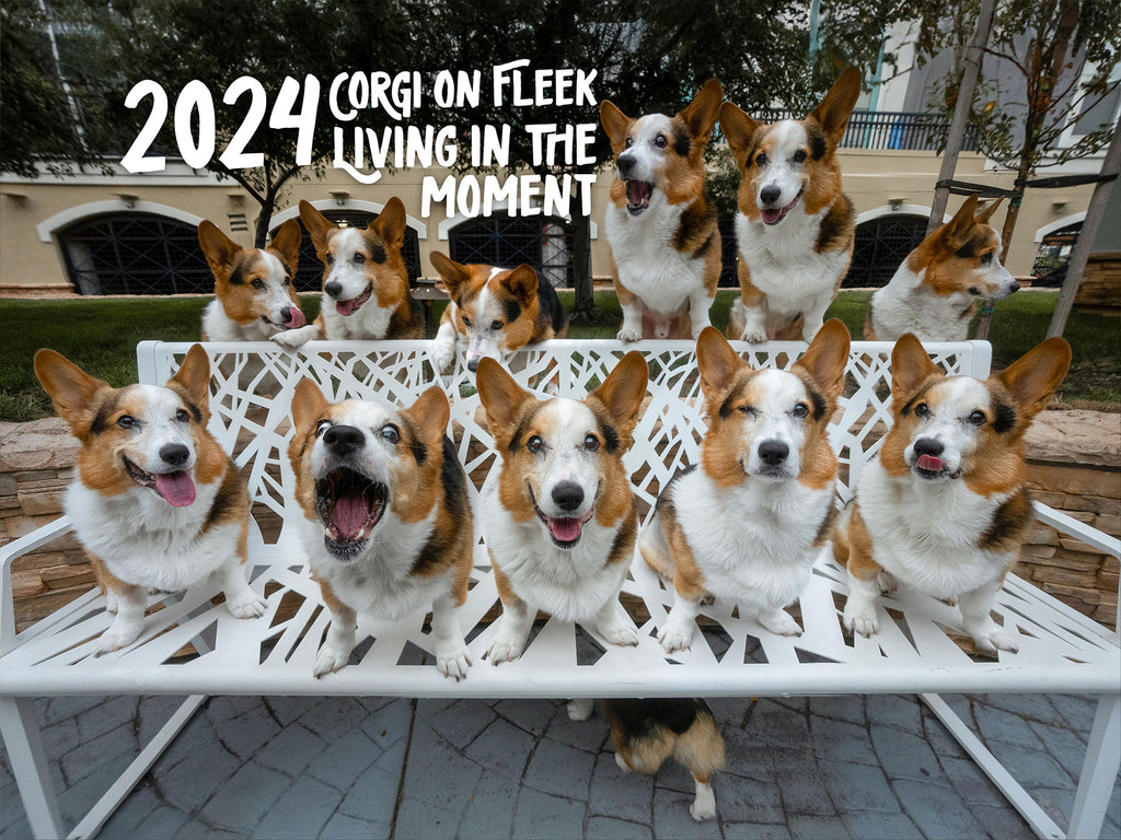 *NEW* On Fleek 2024 Calendar Living in the Moment