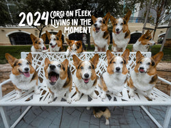 *NEW* Corgi On Fleek 2024 Calendar - Living in the Moment