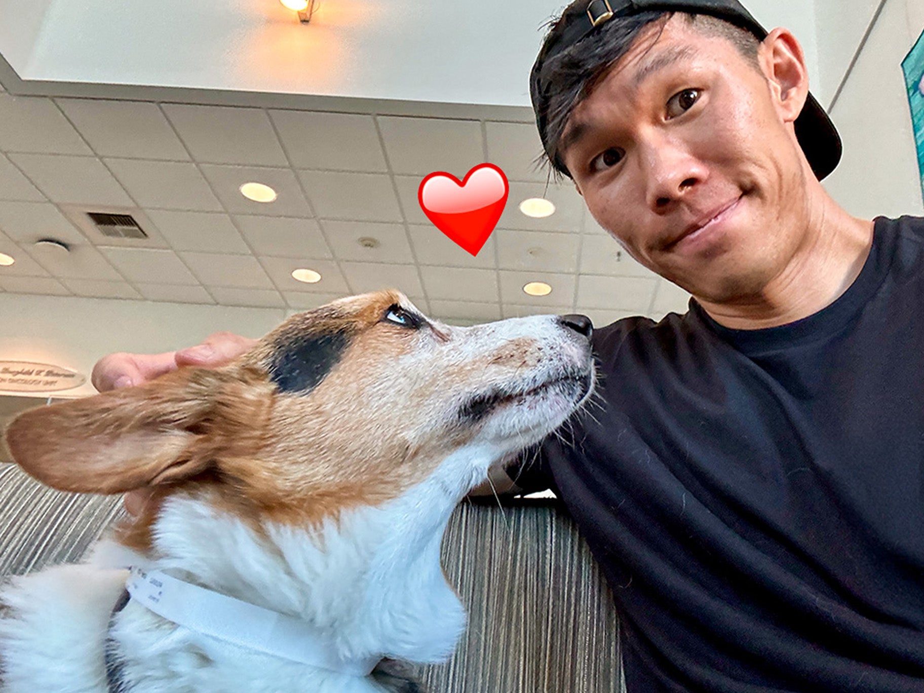 Donation for Gatsby's Medical Expense