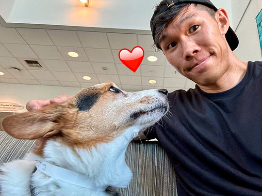 Donation for Gatsby's Medical Expense