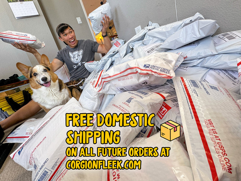 Ryen & Gatsby's Corgi On Fleek 