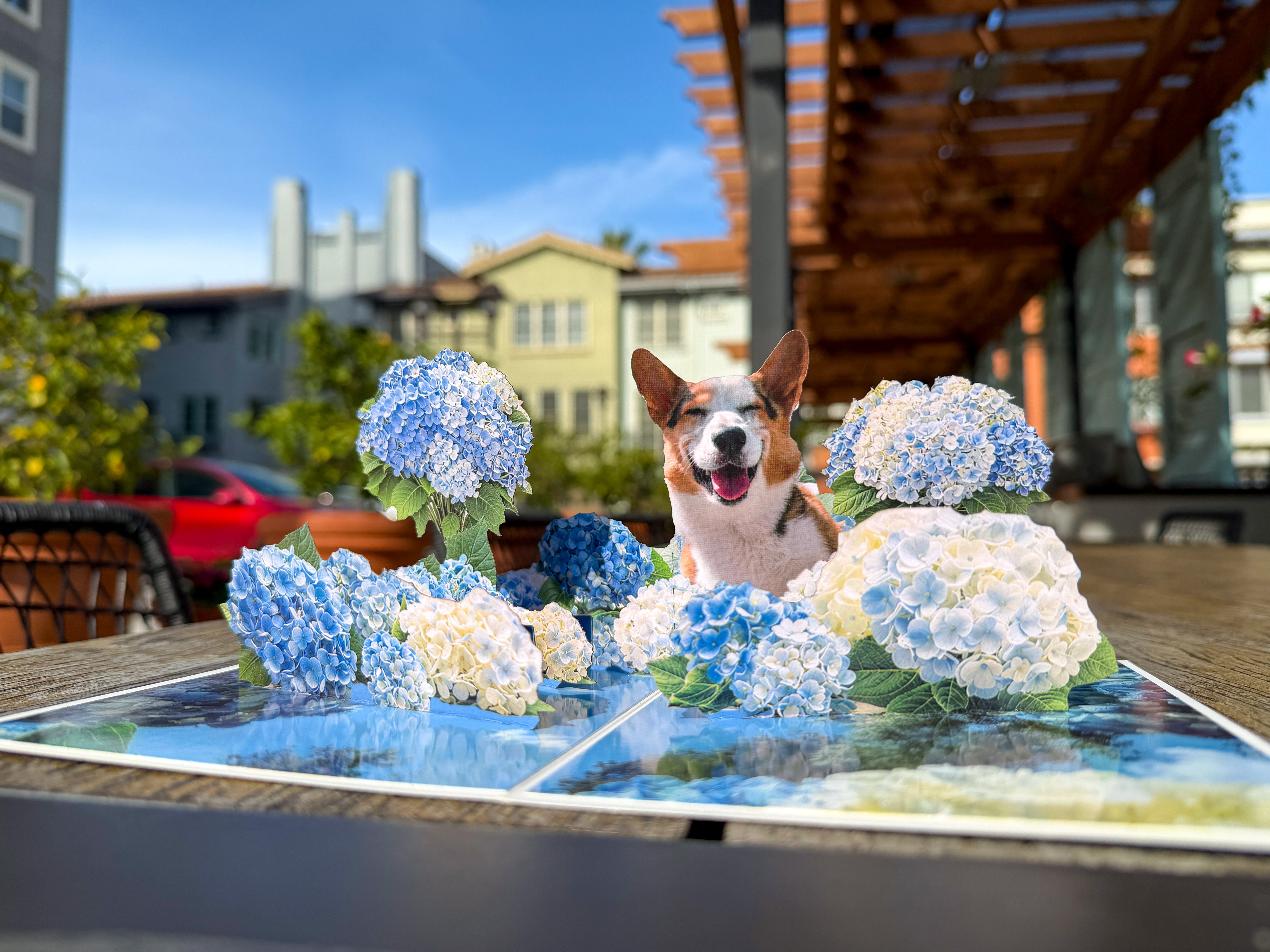 Special Corgi Popup Greeting Card