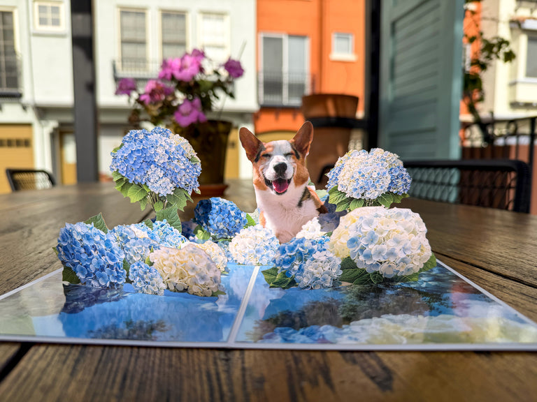 Special Corgi Popup Greeting Card