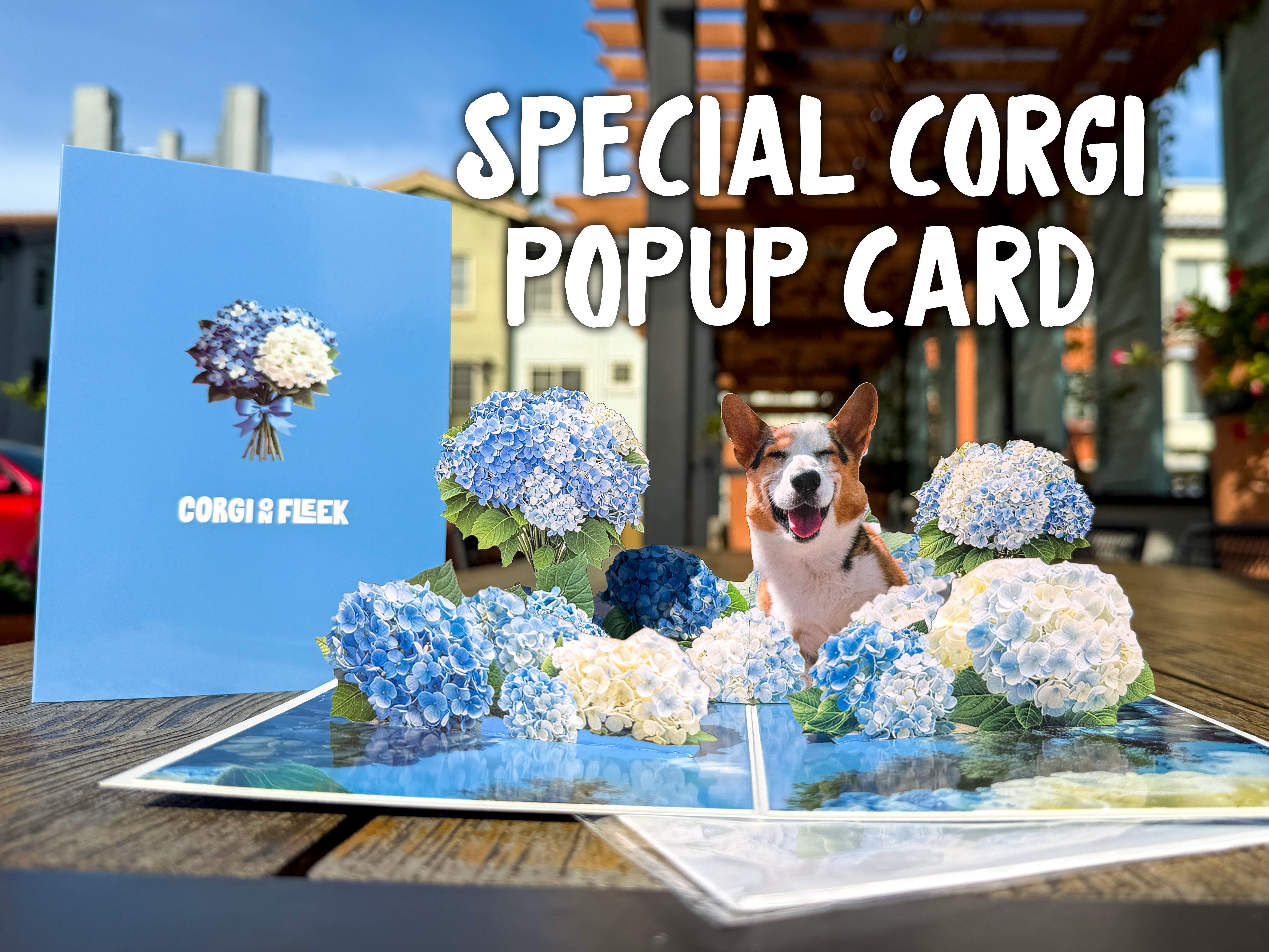 Special Corgi Popup Greeting Card