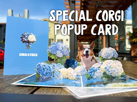 Special Corgi Popup Greeting Card