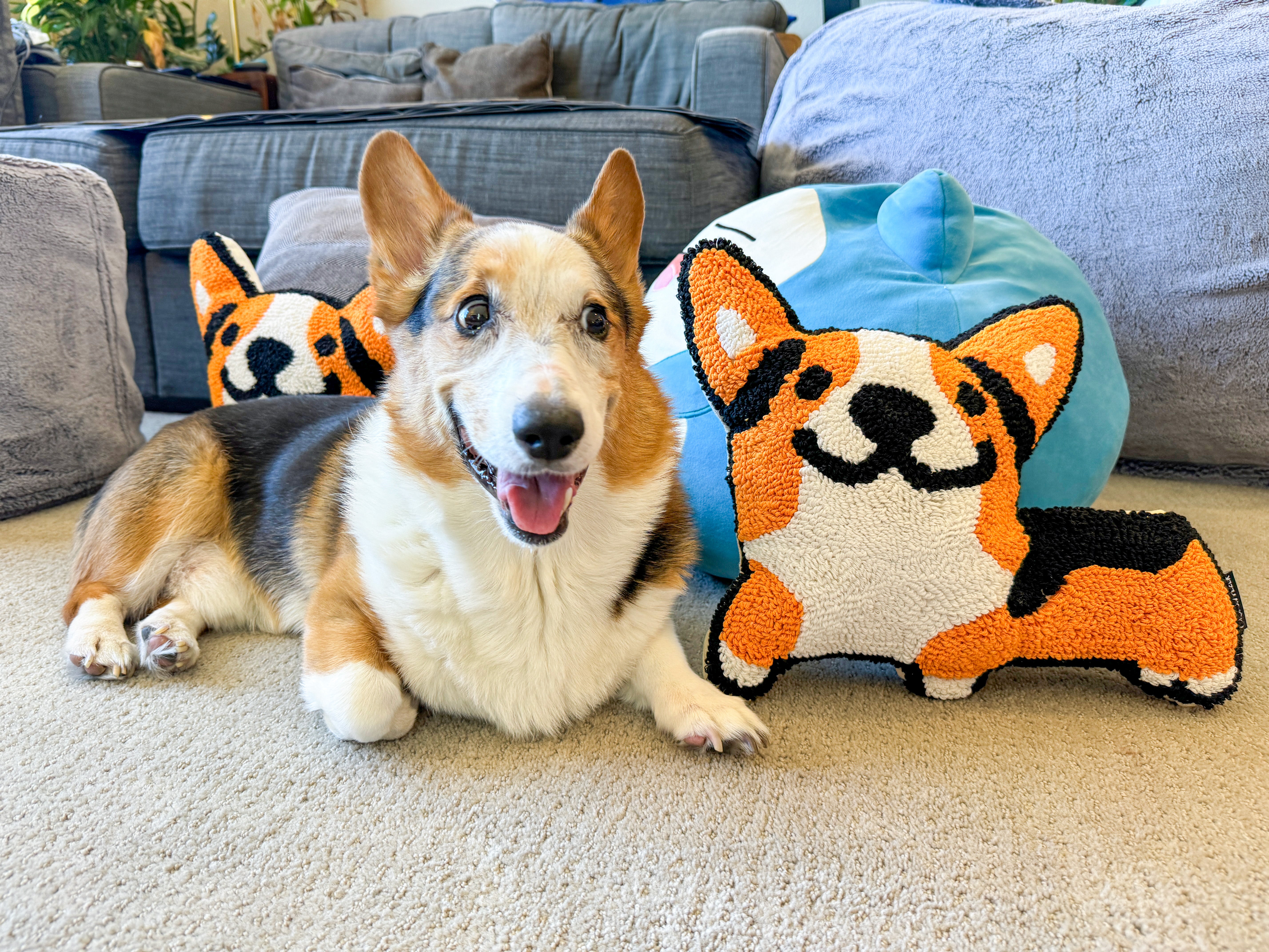 Special Jumbo Corgi-Shaped Cushion [Limited Edition]