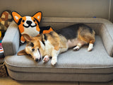 Special Jumbo Corgi-Shaped Cushion [Limited Edition]