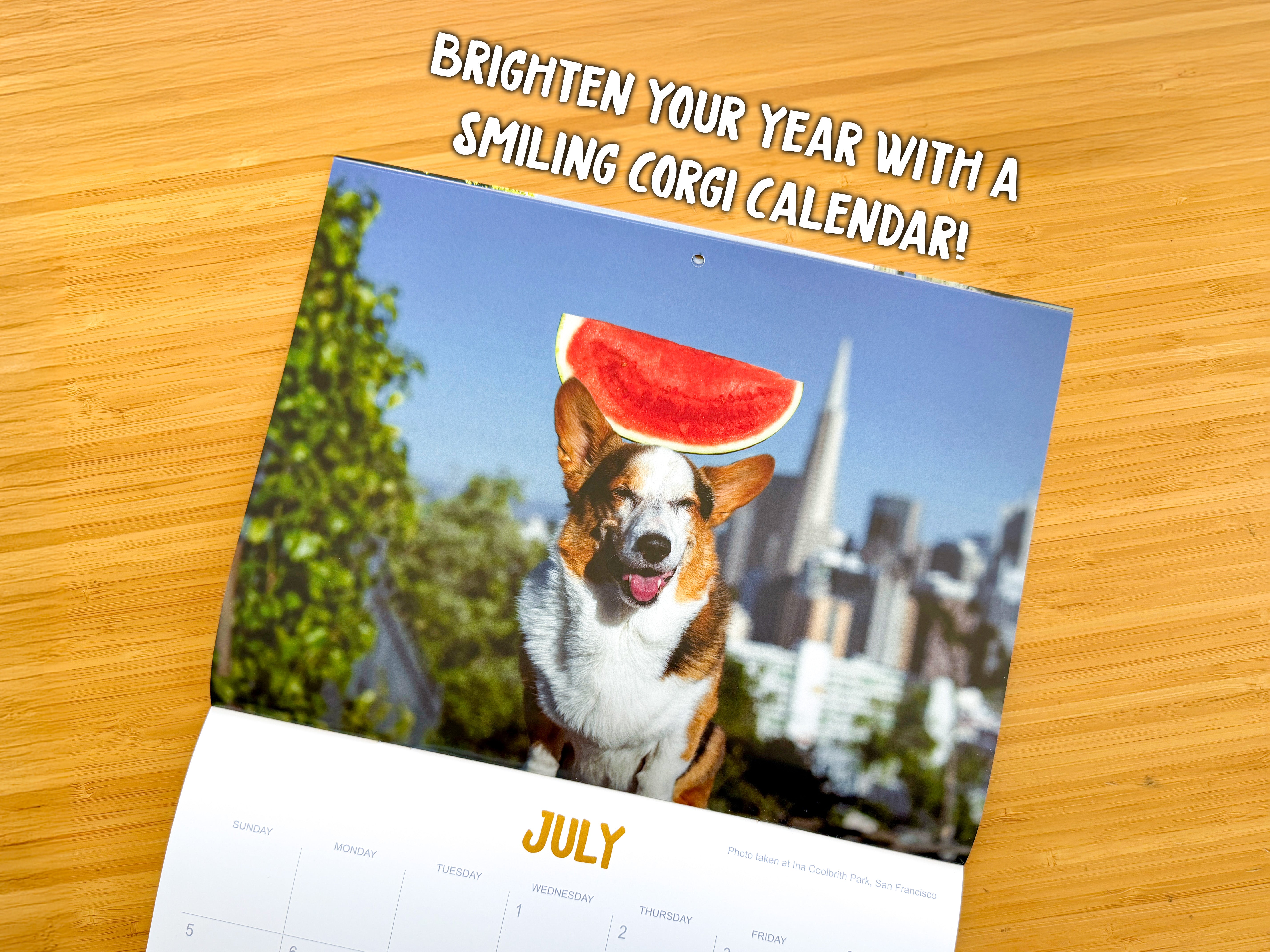 *New* Corgi On Fleek 2026 Calendar - Eternal Sunshine