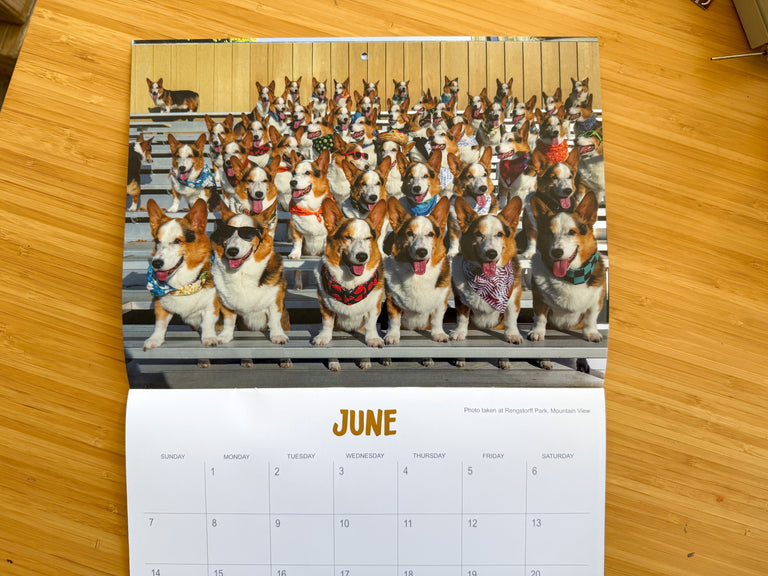*New* Corgi On Fleek 2026 Calendar - Eternal Sunshine