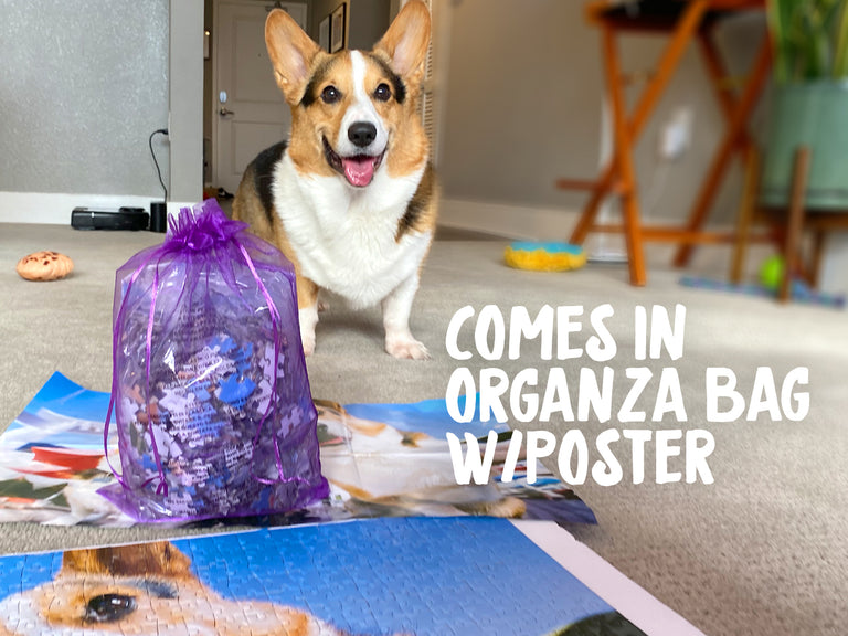 Corgi Jigsaw Puzzle 500 Pieces [Limited Edition]