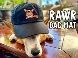 Corgi RAWR Embroidered Dad Hat (Black)