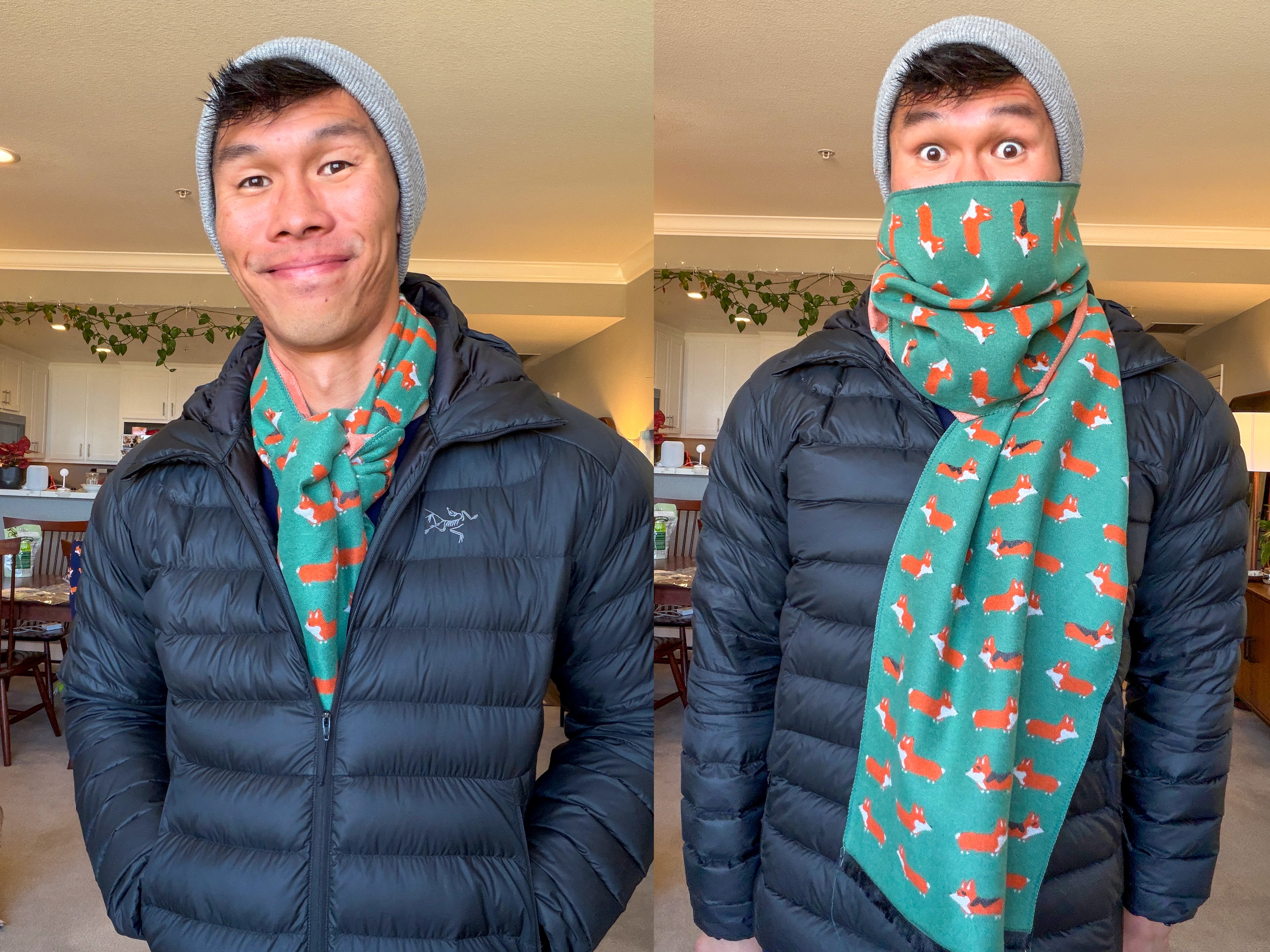 Corgi Jacquard Winter Scarf - Oversized