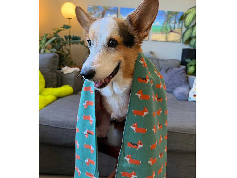 Corgi Jacquard Winter Scarf - Oversized