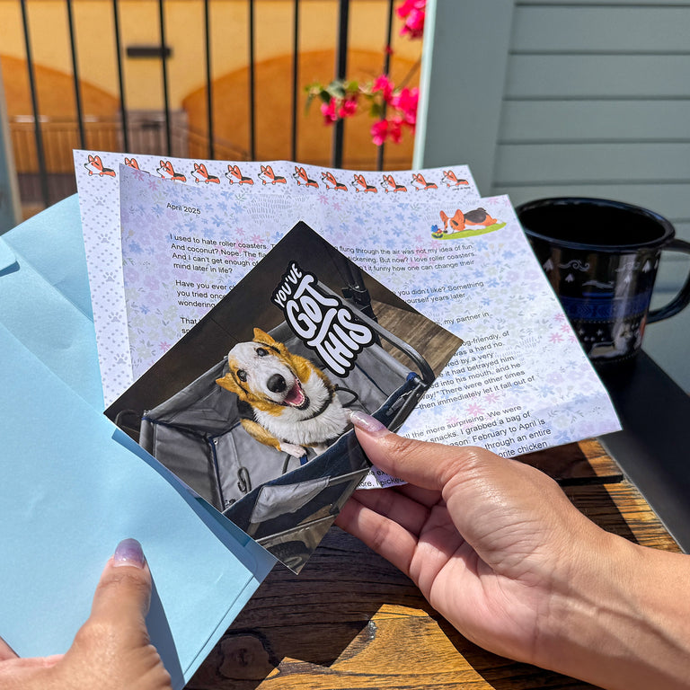 Ryen & Gatsby's Corgi On Fleek 