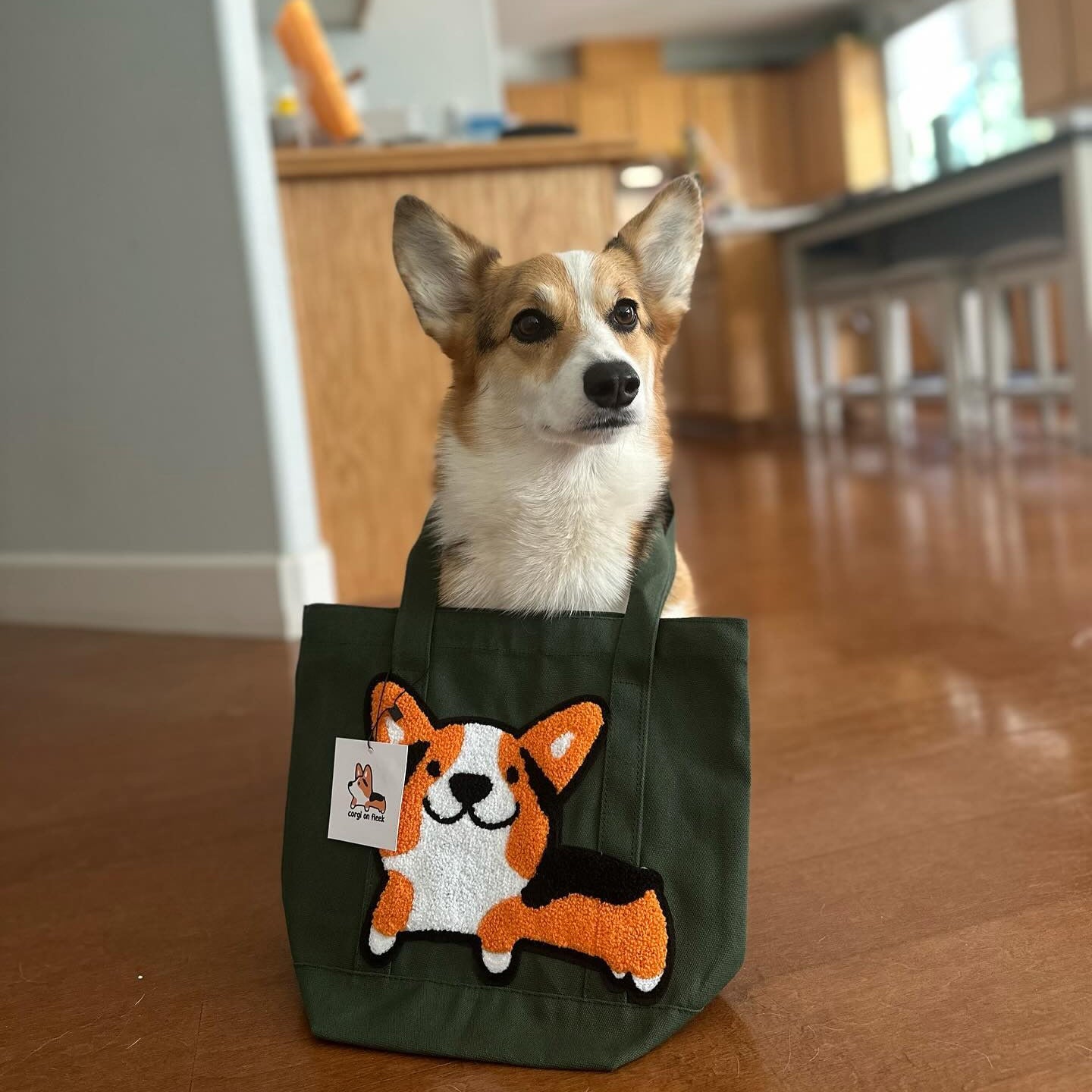 Corgi in a bag hotsell