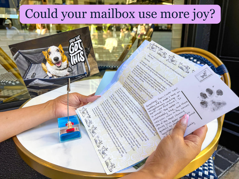 Ryen & Gatsby's Corgi On Fleek 