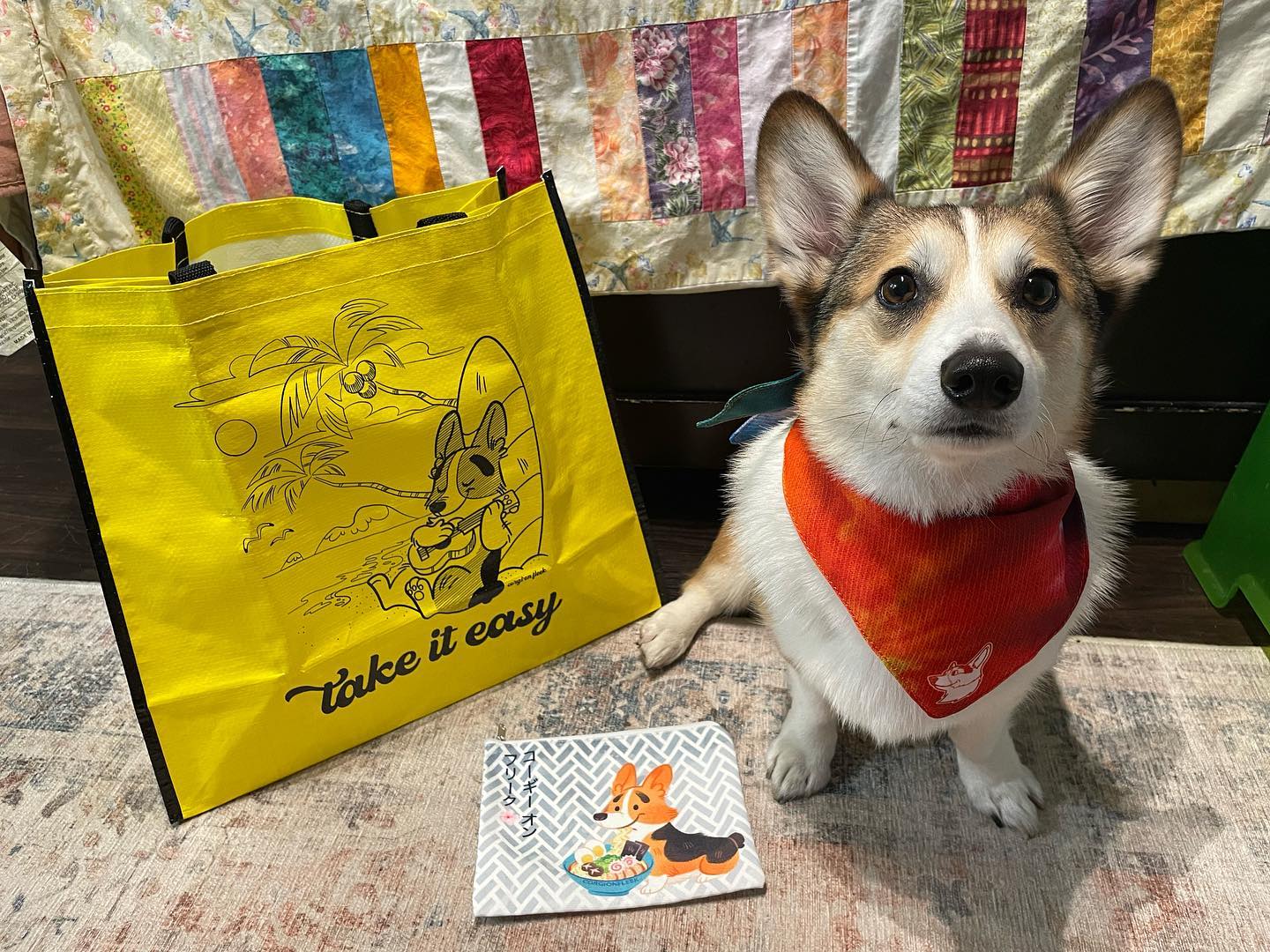 Corgi in a bag best sale