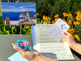Ray of Sunshine Club Membership + Clip Stand Bundle