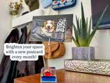 Ray of Sunshine Club Membership + Clip Stand Bundle