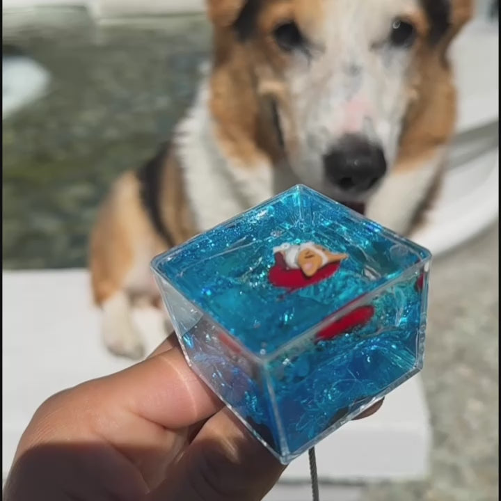 Floating Corgi Card Holder Stand