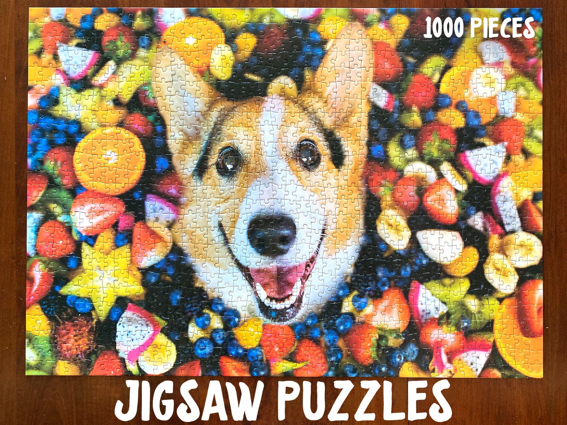Galison - Museum of the Corgi - 1000 Stukjes - 1000 Stukjes