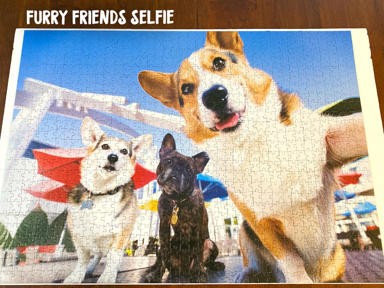 Corgi Jigsaw Puzzle 1000 Pieces [Limited Edition]