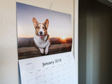 [Collectible] Corgi On Fleek 2018 Calendar