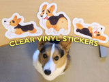 Corgi On Fleek Clear Vinyl Stickers V.2