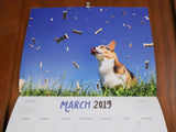 [Collectible] Corgi On Fleek 2019 Calendar - Corgi Dreams