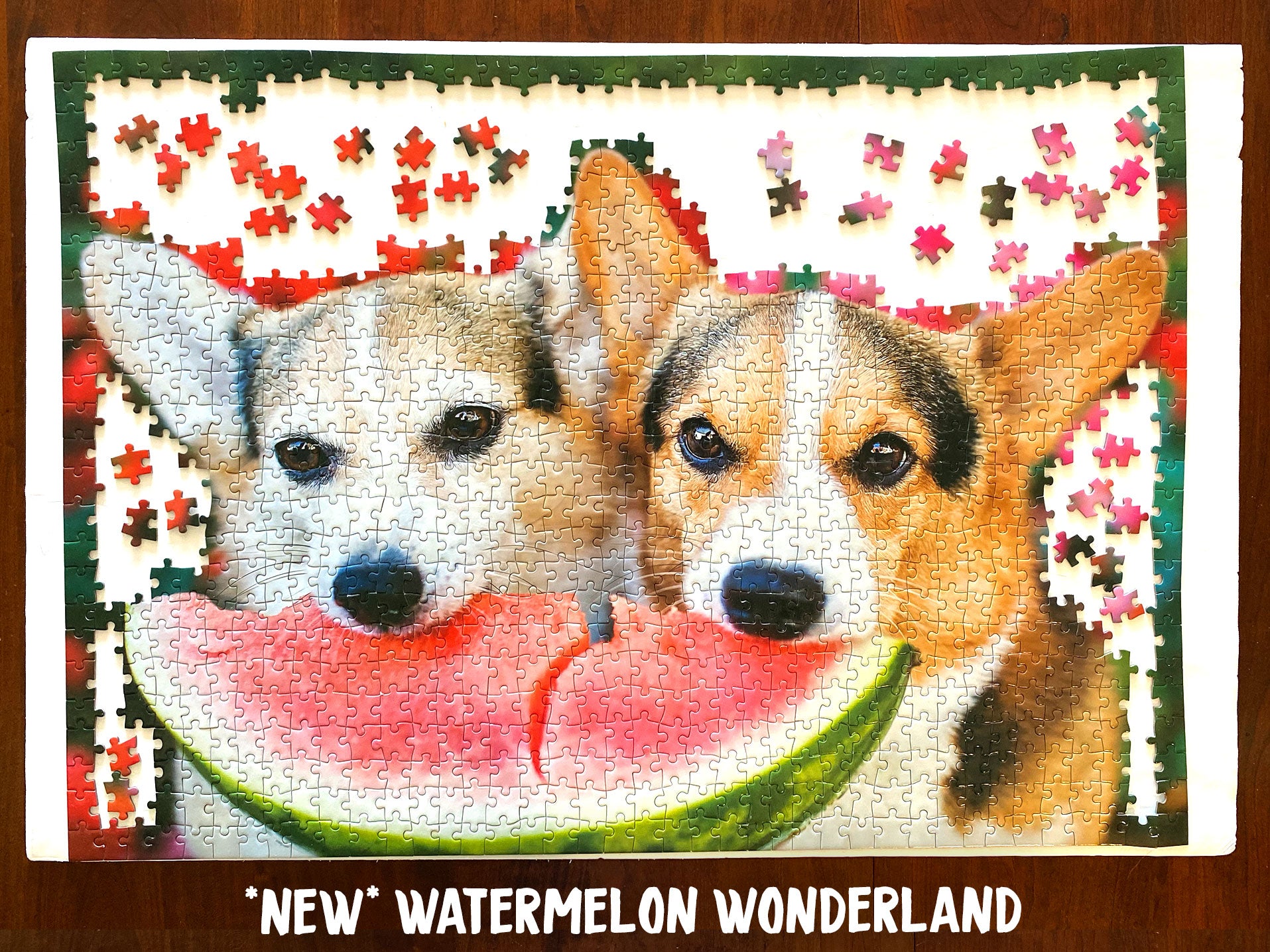 Corgi Jigsaw Puzzle 1000 Pieces [Limited Edition]